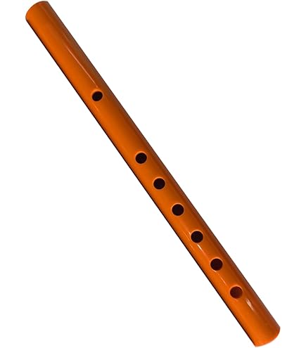 Amazon | SeWALL 日本の楽器樹脂複合尺八ダブルセクションデザインは